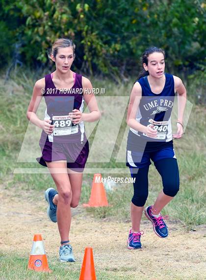 Thumbnail 2 in TCAF State Cross Country Championships photogallery.