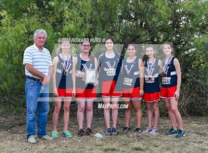 Thumbnail 3 in TCAF State Cross Country Championships photogallery.