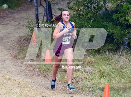 Thumbnail 2 in TCAF State Cross Country Championships photogallery.