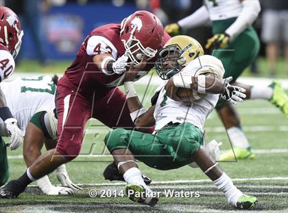 Thumbnail 1 in Destrehan vs. Acadiana (LHSAA Class 5A Final) photogallery.