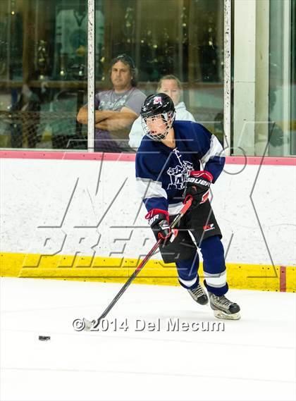 Thumbnail 3 in Palm Harbor University vs. Wharton photogallery.