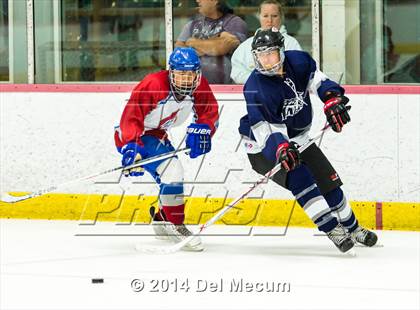 Thumbnail 2 in Palm Harbor University vs. Wharton photogallery.