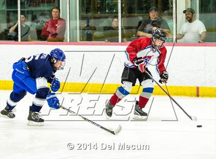 Thumbnail 1 in Palm Harbor University vs. Wharton photogallery.