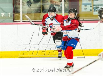 Thumbnail 2 in Palm Harbor University vs. Wharton photogallery.