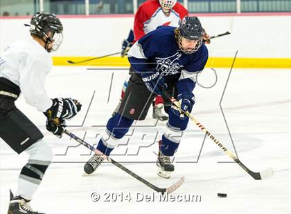 Thumbnail 2 in Palm Harbor University vs. Wharton photogallery.