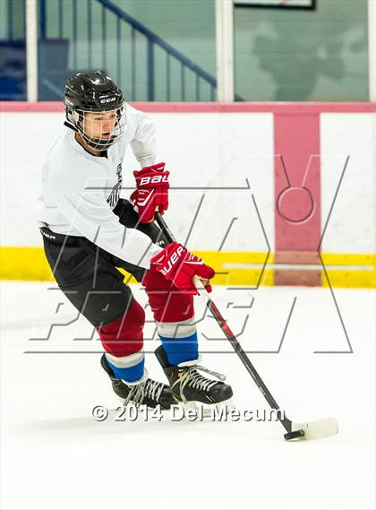 Thumbnail 1 in Palm Harbor University vs. Wharton photogallery.