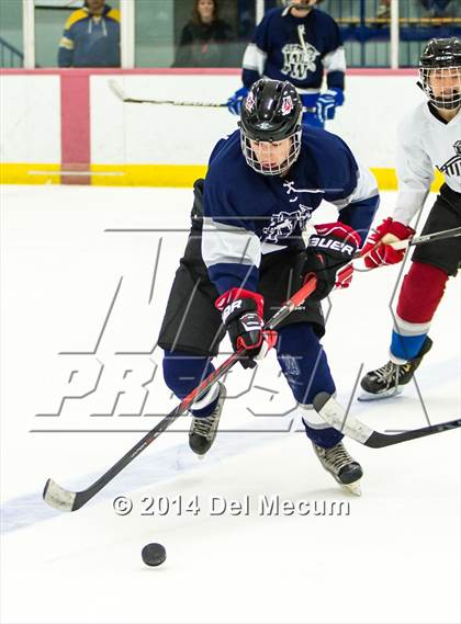 Thumbnail 3 in Palm Harbor University vs. Wharton photogallery.