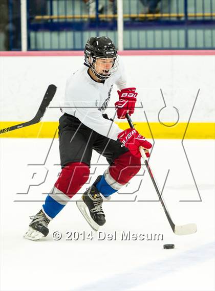 Thumbnail 2 in Palm Harbor University vs. Wharton photogallery.
