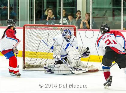 Thumbnail 3 in Palm Harbor University vs. Wharton photogallery.