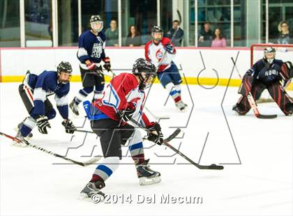 Thumbnail 1 in Palm Harbor University vs. Wharton photogallery.