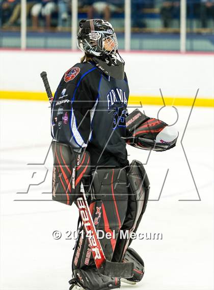Thumbnail 1 in Palm Harbor University vs. Wharton photogallery.