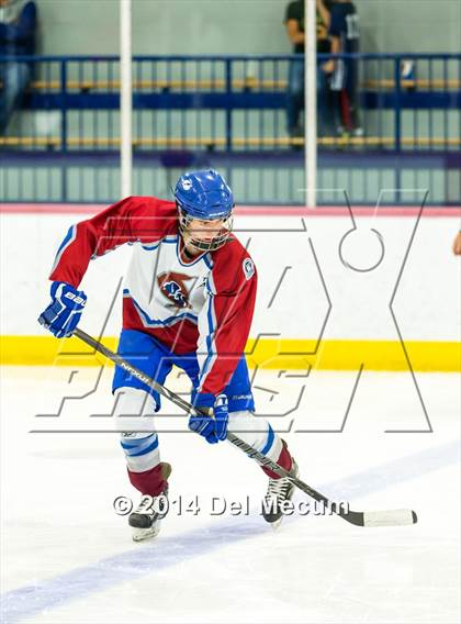 Thumbnail 3 in Palm Harbor University vs. Wharton photogallery.