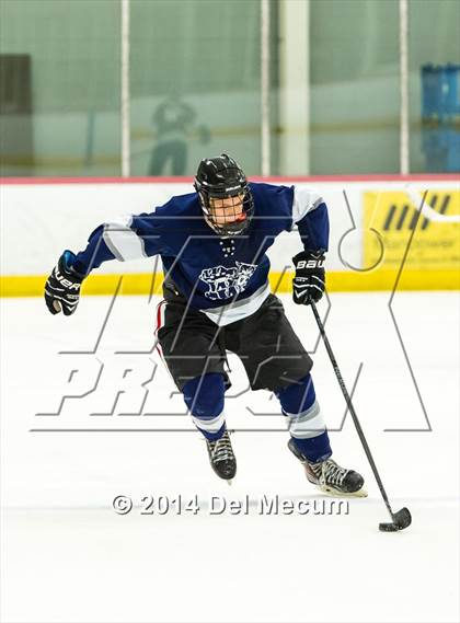 Thumbnail 1 in Palm Harbor University vs. Wharton photogallery.