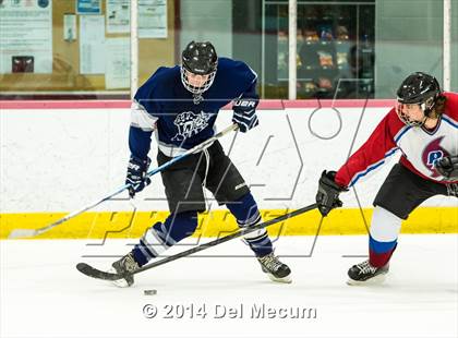 Thumbnail 2 in Palm Harbor University vs. Wharton photogallery.
