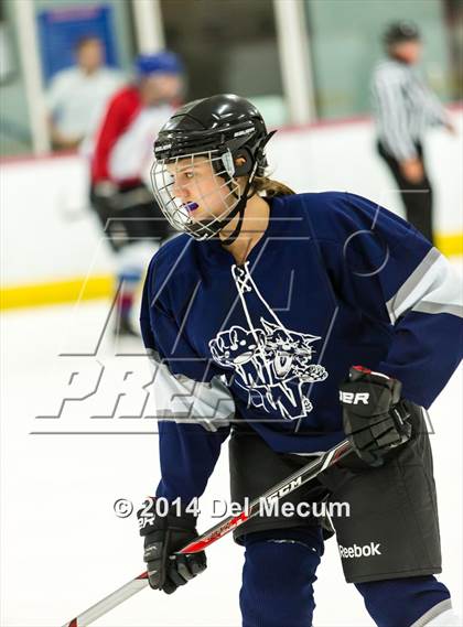 Thumbnail 3 in Palm Harbor University vs. Wharton photogallery.