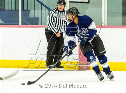 Thumbnail 1 in Palm Harbor University vs. Wharton photogallery.