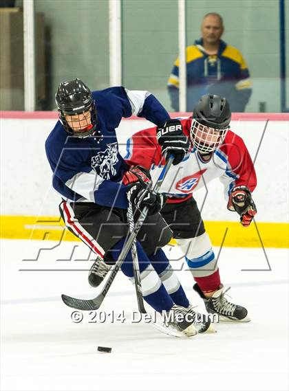 Thumbnail 2 in Palm Harbor University vs. Wharton photogallery.