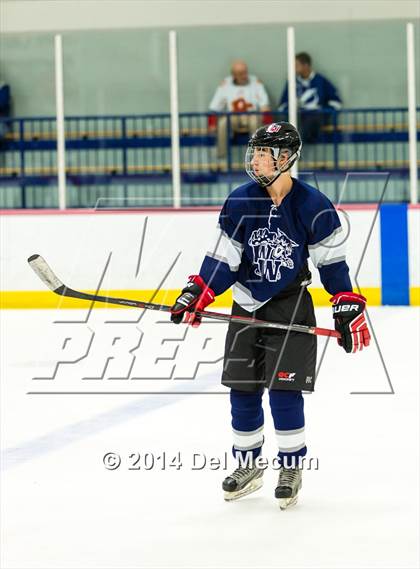 Thumbnail 2 in Palm Harbor University vs. Wharton photogallery.