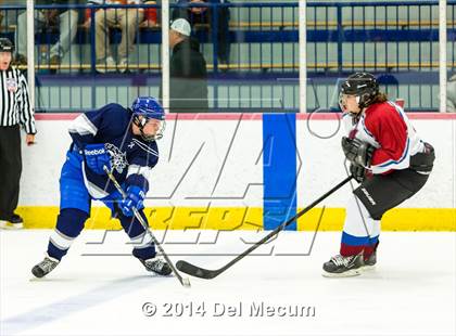Thumbnail 2 in Palm Harbor University vs. Wharton photogallery.