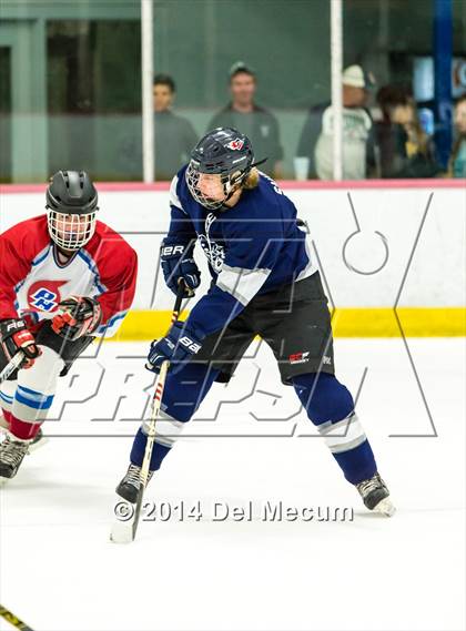 Thumbnail 1 in Palm Harbor University vs. Wharton photogallery.