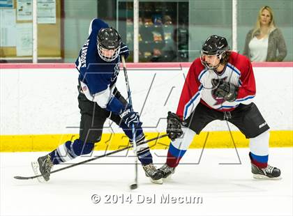 Thumbnail 3 in Palm Harbor University vs. Wharton photogallery.