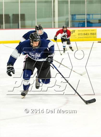 Thumbnail 1 in Palm Harbor University vs. Wharton photogallery.