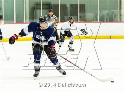 Thumbnail 3 in Palm Harbor University vs. Wharton photogallery.