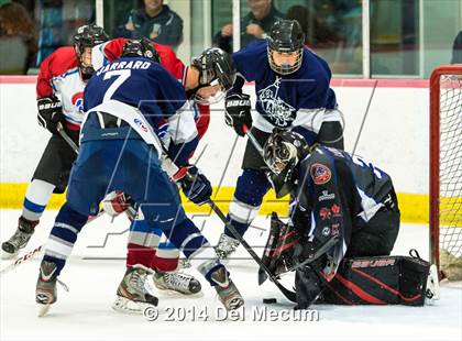 Thumbnail 2 in Palm Harbor University vs. Wharton photogallery.
