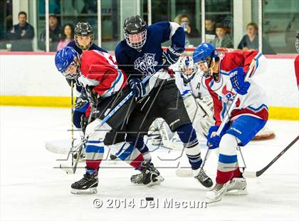 Thumbnail 1 in Palm Harbor University vs. Wharton photogallery.