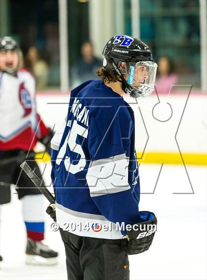 Thumbnail 2 in Palm Harbor University vs. Wharton photogallery.