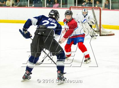 Thumbnail 1 in Palm Harbor University vs. Wharton photogallery.