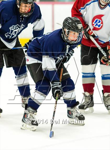 Thumbnail 1 in Palm Harbor University vs. Wharton photogallery.