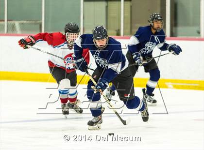 Thumbnail 3 in Palm Harbor University vs. Wharton photogallery.