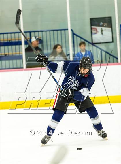 Thumbnail 1 in Palm Harbor University vs. Wharton photogallery.