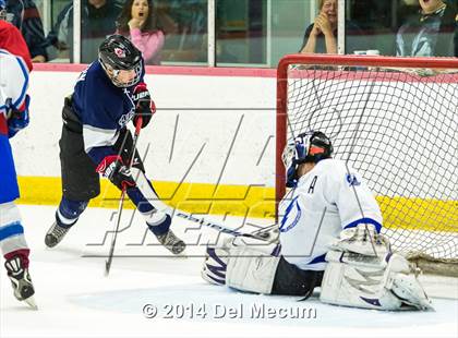 Thumbnail 2 in Palm Harbor University vs. Wharton photogallery.