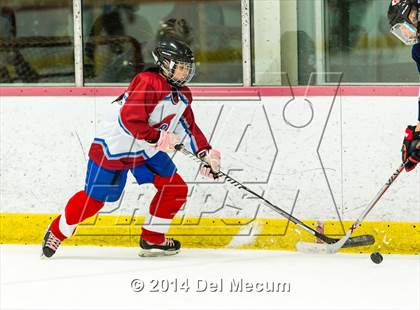 Thumbnail 3 in Palm Harbor University vs. Wharton photogallery.