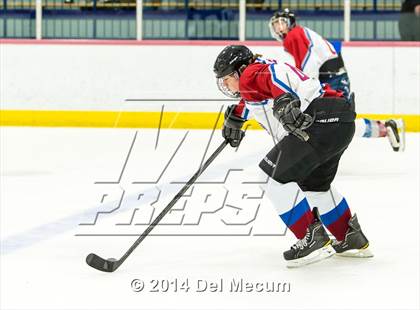 Thumbnail 1 in Palm Harbor University vs. Wharton photogallery.