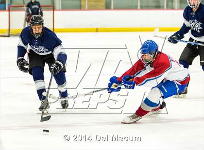 Thumbnail 2 in Palm Harbor University vs. Wharton photogallery.