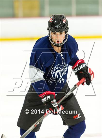 Thumbnail 3 in Palm Harbor University vs. Wharton photogallery.