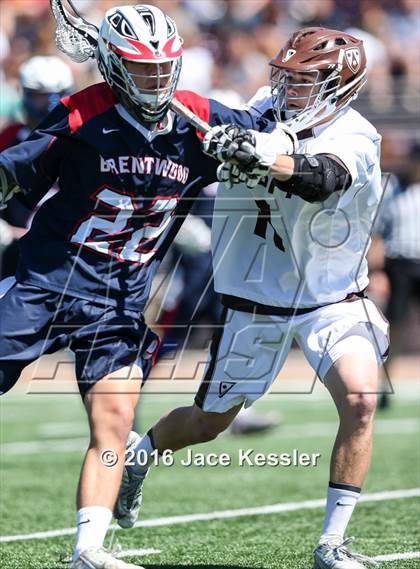 Thumbnail 1 in Brentwood School @ Crespi photogallery.