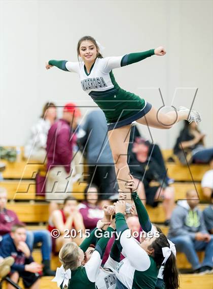 Thumbnail 3 in Whitney @ Ponderosa photogallery.