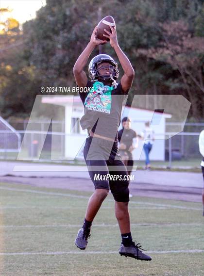 Thumbnail 3 in Havelock @ Jacksonville photogallery.
