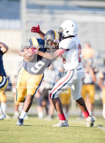 Thumbnail 2 in Terry Sanford @ Cape Fear photogallery.