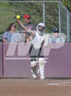 Photo from the gallery "Montgomery @ Cardinal Newman"