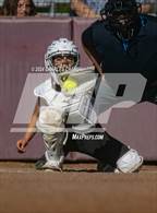 Photo from the gallery "Montgomery @ Cardinal Newman"