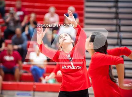 Thumbnail 1 in Tustin @ Oak Hills photogallery.