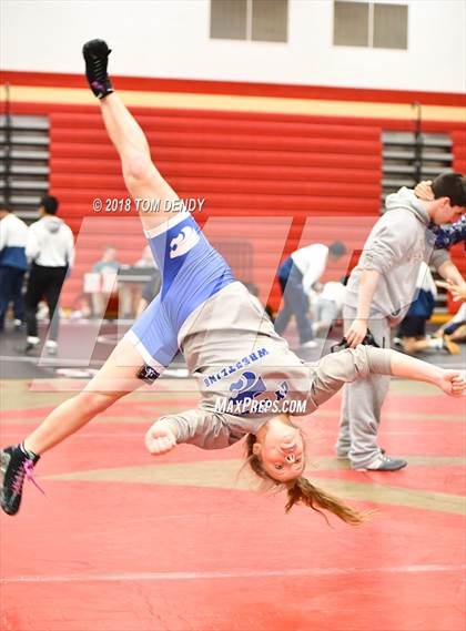 Thumbnail 1 in Houston 6A Dual Wrestling Championships photogallery.