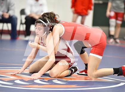 Thumbnail 2 in Houston 6A Dual Wrestling Championships photogallery.