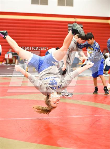 Thumbnail 2 in Houston 6A Dual Wrestling Championships photogallery.