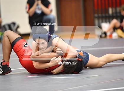Thumbnail 1 in Houston 6A Dual Wrestling Championships photogallery.